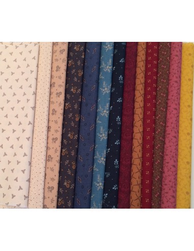 Pack 13 de telas colección básicos Marcus Fabrics Pack 13 de telas colección básicos Marcus Fabrics